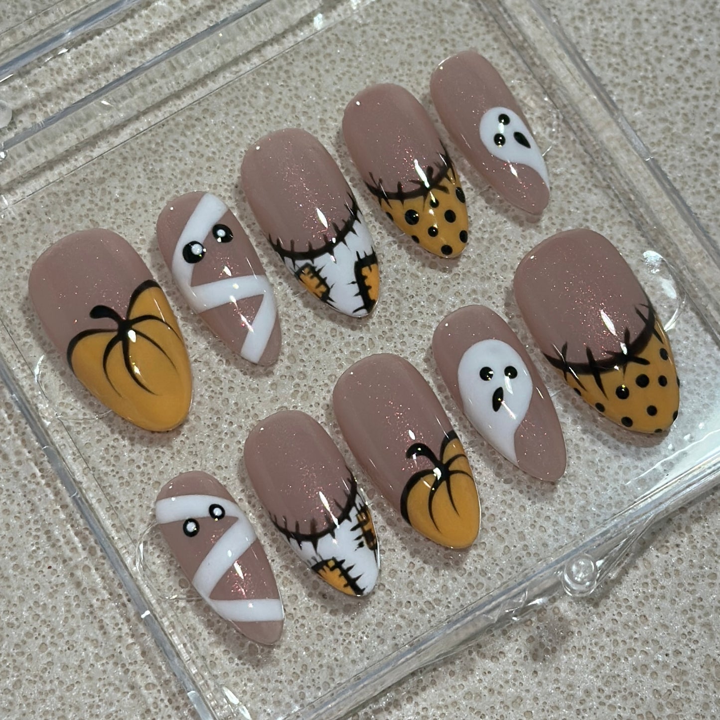 Pumpkin Patch (Medium)